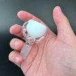 画像4: Dragon Claw Glass on Glass Bowl - ガラスボング　水パイプ用　火皿 ／ 14mm オス型 (4)